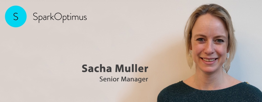 Sacha Muller - SparkOptimus Sacha Muller - SparkOptimus