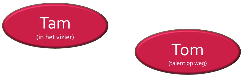 Het TamTom talentnavigatie model