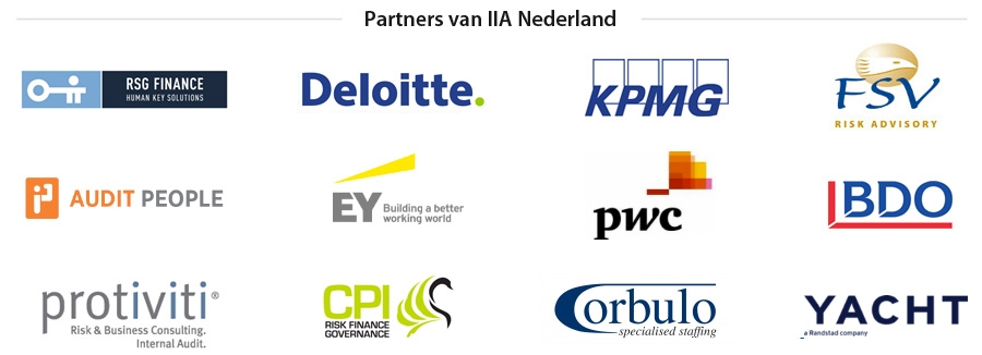 Partners van IIA Nederland