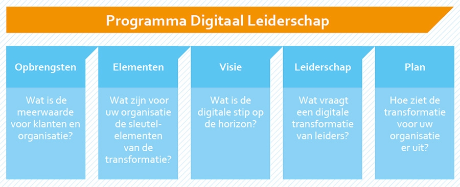 Programma Digitaal Leiderschap