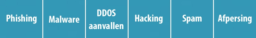 Vormen van cybercrime
