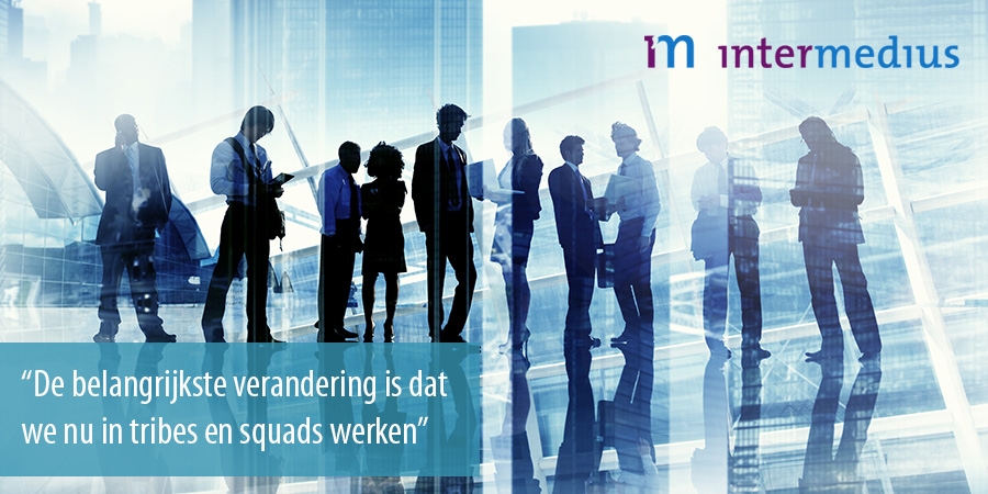 Werken in tribes en squads