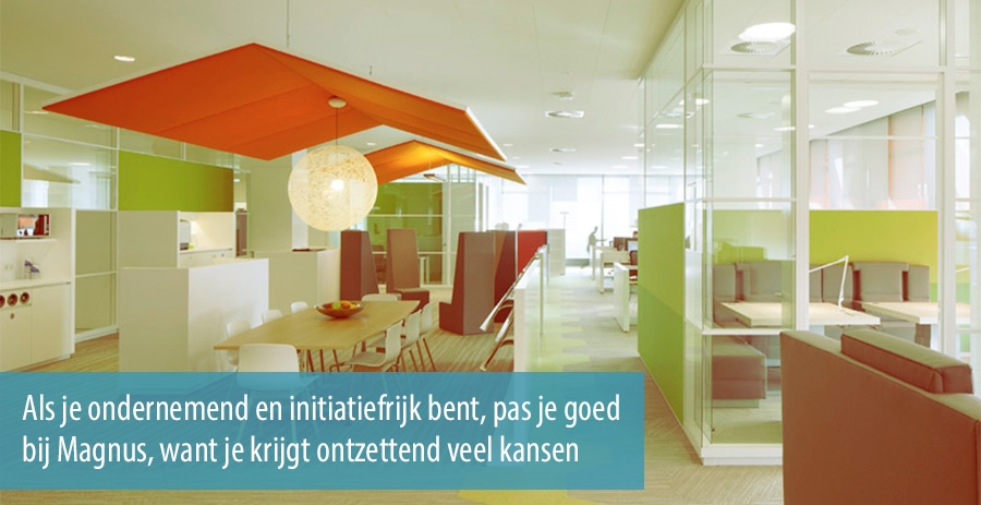 Werken bij Magnus