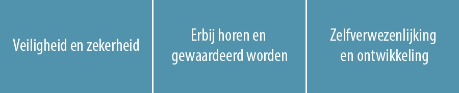 Veiligheid en zekerheid | Erbij horen en gewaardeerd worden | Zelfverwezenlijking en ontwikkeling