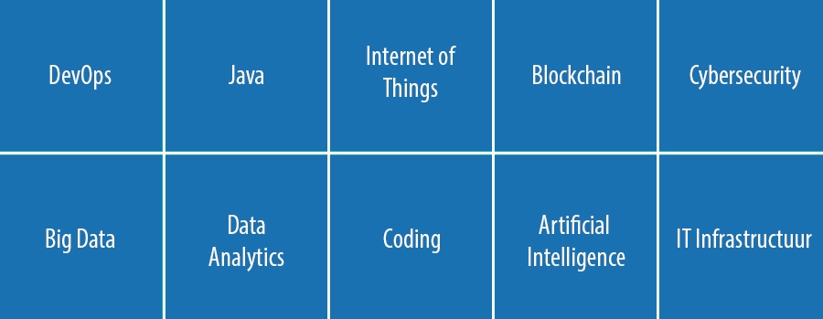 DevOps, Internet of Things, Artificial Intelligence, Blockchain, Cybersecurity, Big Data, Data Analytics, Coding, Java, IT Infrastructuur