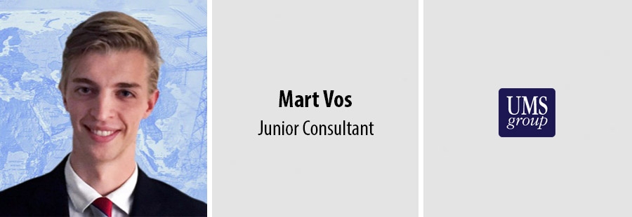 Mart Vos, Junior Consultant , UMS Group