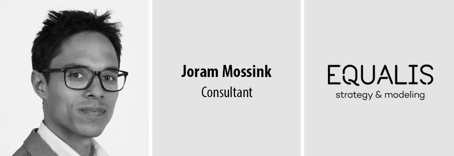 Joram Mossink, Consultant - Equalis