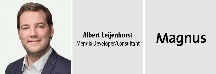 Albert Leijenhorst, Mendix Developer/Consultant - Magnus