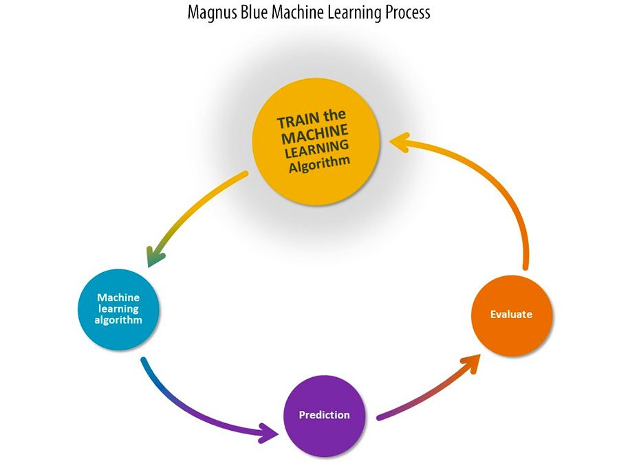 Magnus Blue Machine Learning Process Magnus Blue Machine Learning Process