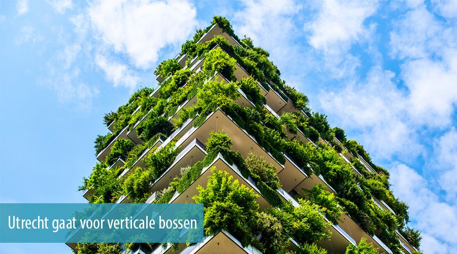 Utrecht gaat voor verticale bossen Utrecht gaat voor verticale bossen