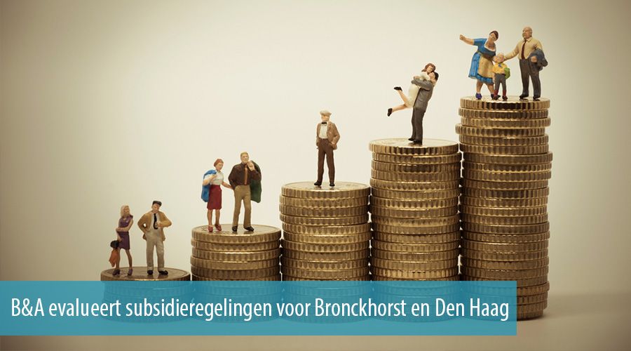 B&A evalueert subsidieregelingen voor Bronckhorst en Den Haag