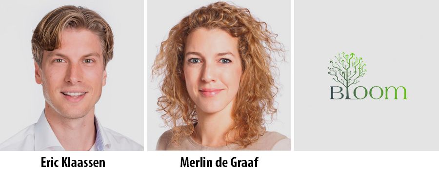 Online consultancyspecialist BLOOM viert &eacute;&eacute;njarig bestaan