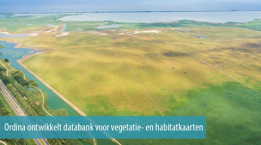 Ordina ontwikkelt databank voor vegetatie- en habitatkaarten