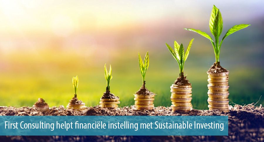 First Consulting helpt financiële instelling met Sustainable Investing