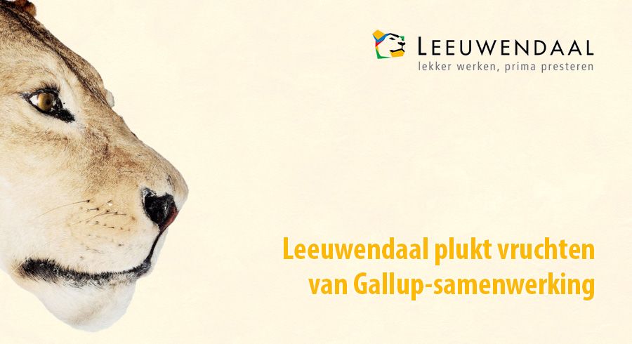 Leeuwendaal plukt vruchten van Gallup-samenwerking