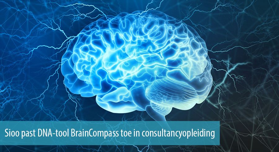 Sioo past DNA-tool BrainCompass toe in consultancyopleiding Sioo past DNA-tool BrainCompass toe in consultancyopleiding
