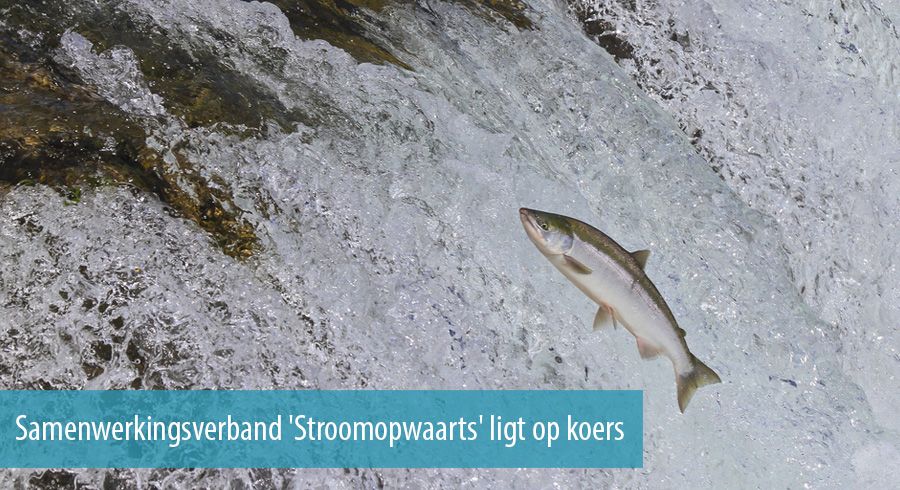 Samenwerkingsverband 'Stroomopwaarts' ligt op koers Samenwerkingsverband 'Stroomopwaarts' ligt op koers