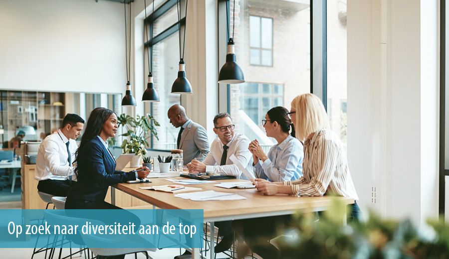 Op zoek naar diversiteit aan de top