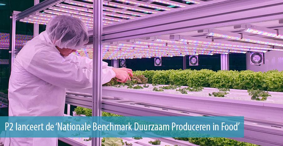 P2 lanceert de &lsquo;Nationale Benchmark Duurzaam Produceren in Food&rsquo;