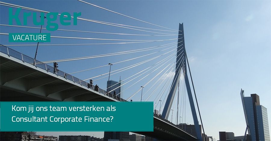 Kruger - Corporate Finance Consultant