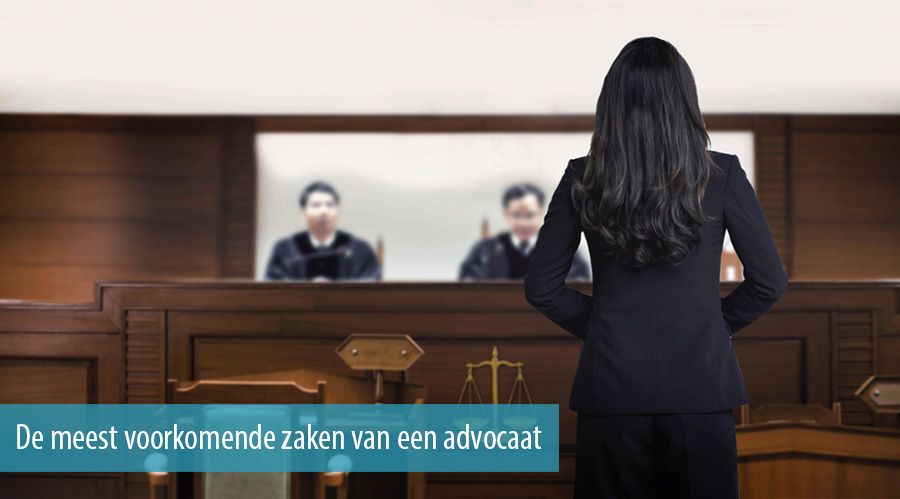 De meest voorkomende zaken van een advocaat