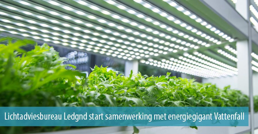  Lichtadviesbureau Ledgnd start samenwerking met energiegigant Vattenfall