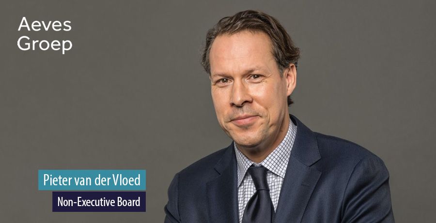 Pieter van der Vloed, Non-Executive Board, Aeves Groep