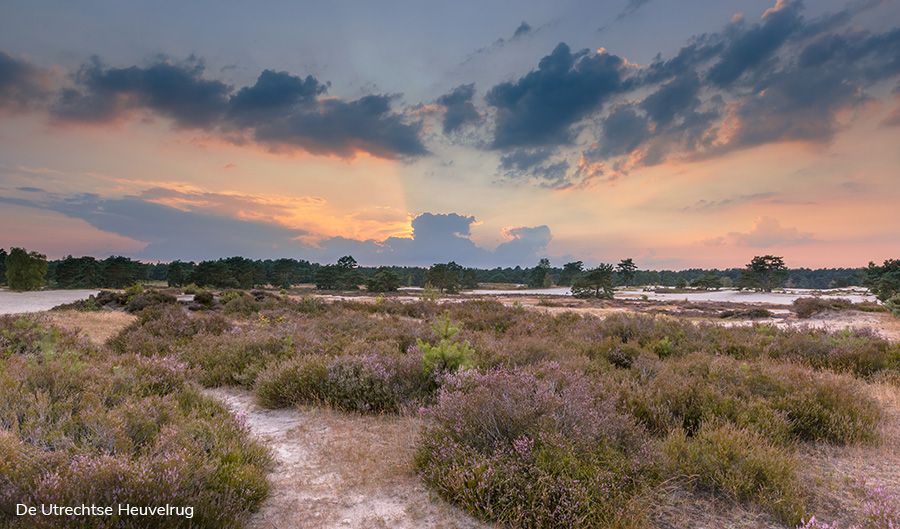 De Utrechtse Heuvelrug