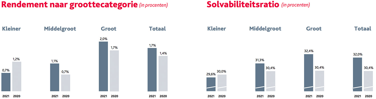 Rendement naar groottecategorie + Solvabiliteitsratio