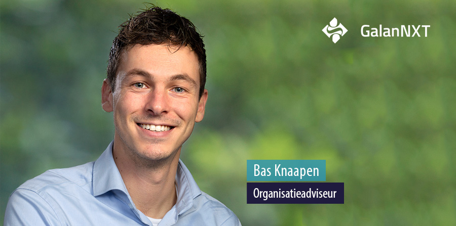 Bas Knaapen, Organisatieadviseur - GalanNXT