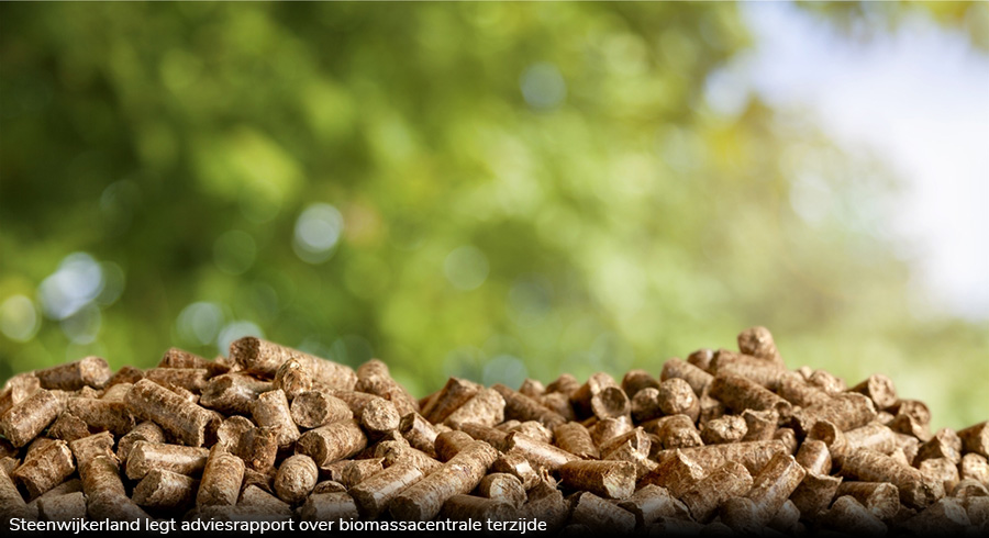 Steenwijkerland legt adviesrapport over biomassacentrale terzijde