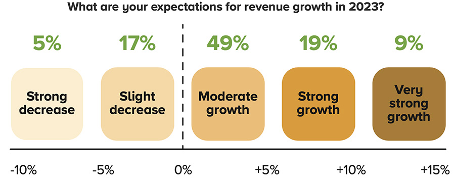What are your expectations for revenue growth in 2023