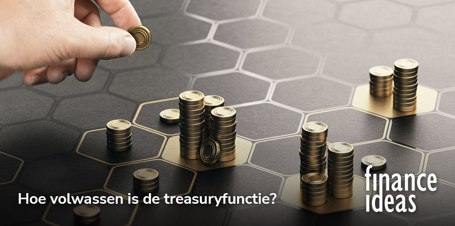 Inzicht in de volwassenheid van de treasuryfunctie