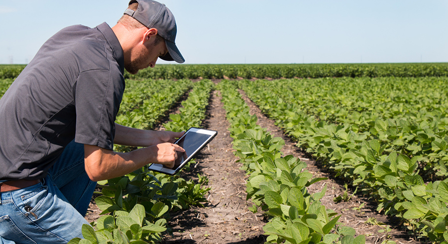 Verduurzaming in de agrifoodsector: 10 concrete stappen