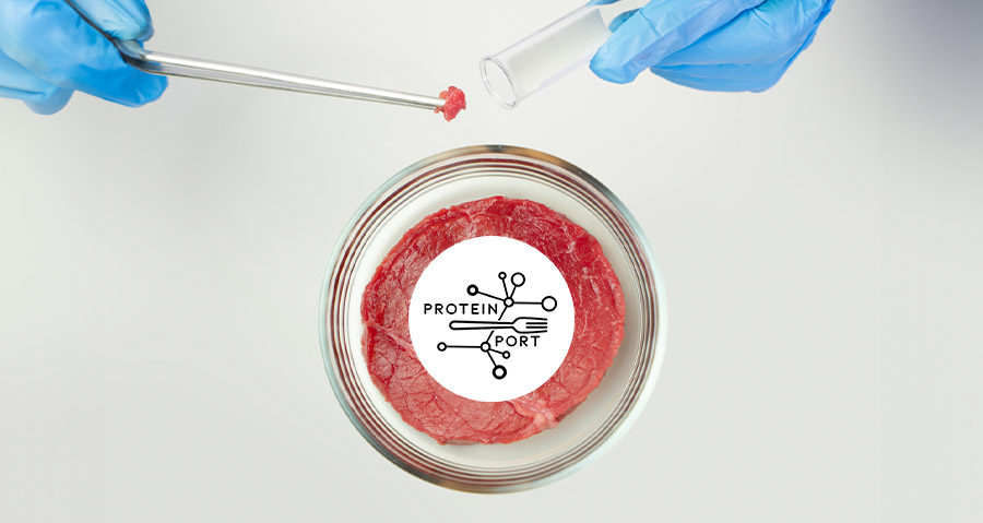 KplusV helpt Zuid-Hollandse organisaties met eiwittransitie 