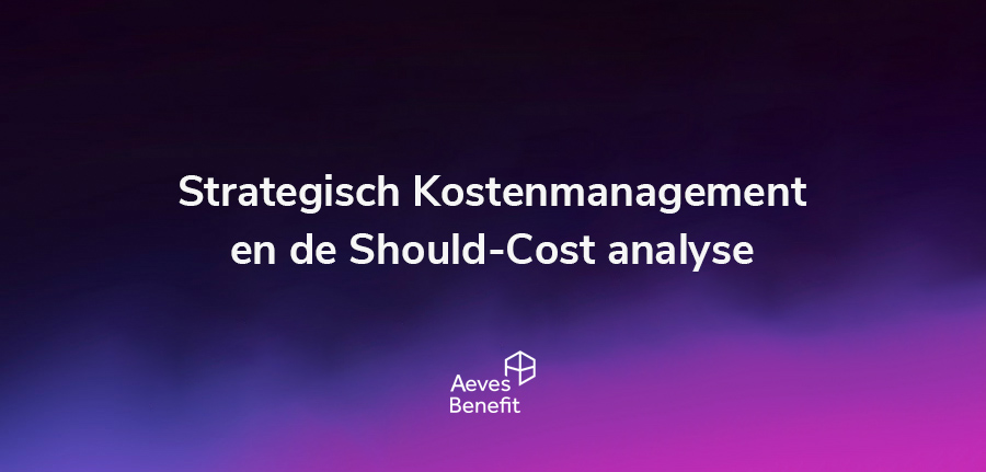 Strategisch kostenmanagement en de should-cost analyse