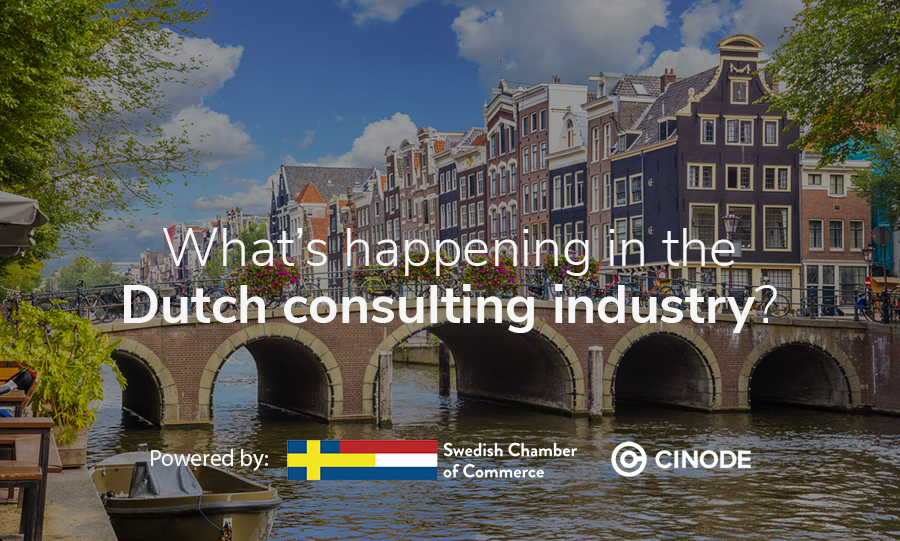 What’s happening in the Dutch consulting industry?