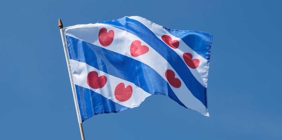 'Besteed meer wetenschappelijke aandacht aan Friese taal en cultuur'