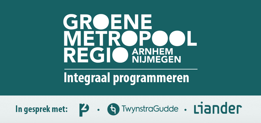 Integraal programmeren in de Regionale Energiestrategie