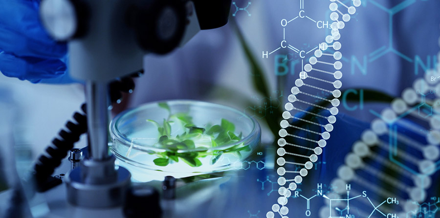 Bedrijfsleven verwacht disruptiegolf door bio-engineering