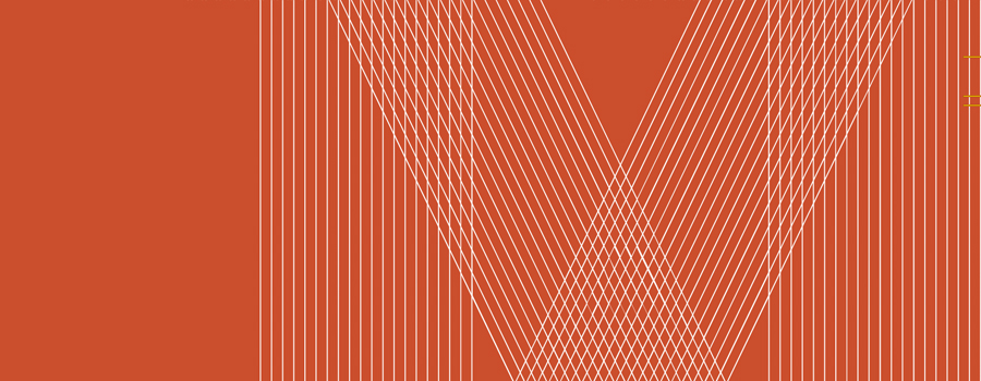 Vellekoop & Meesters lanceert eHealth oplossing