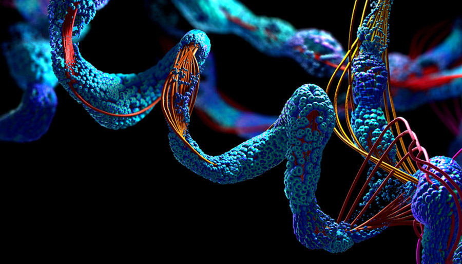 Waarom mensen nog steeds een voorsprong hebben op AI Waarom mensen nog steeds een voorsprong hebben op AI