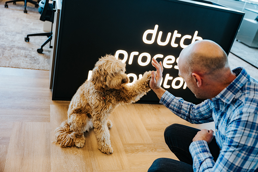 De kantoorhond van Dutch process innovators