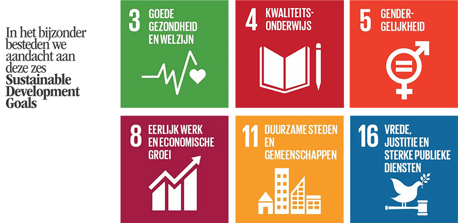 In het bijzonder besteden we aandacht aan deze zes Sustainable Development Goals