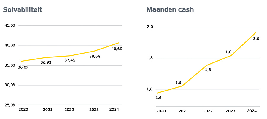 Solvabiliteit + Maanden cash