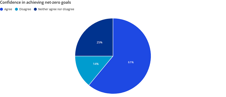 Confidence in achieving net-zero goals