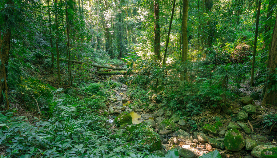 Waarom biodiversiteit nog achterblijft in de Nederlandse financiële sector