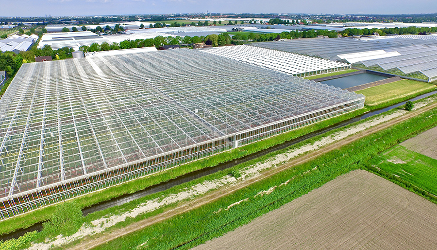 Tuinbouwsector wacht nieuwe consolidatieslag