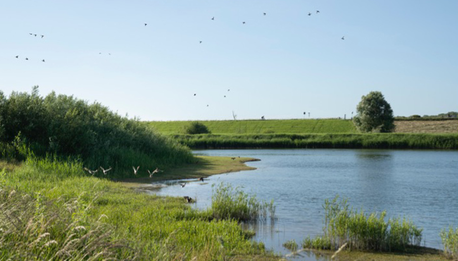 ‘Lef tonen zónder roekeloos te zijn’: Hoe risicomanagement RWS onder grote tijdsdruk helpt bij het verbeteren van de waterkwaliteit