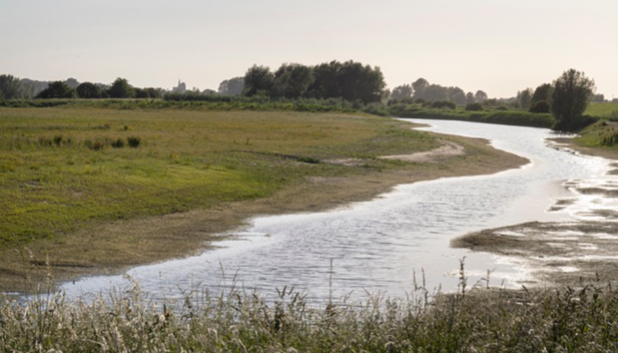 ‘Lef tonen zónder roekeloos te zijn’: Hoe risicomanagement RWS onder grote tijdsdruk helpt bij het verbeteren van de waterkwaliteit